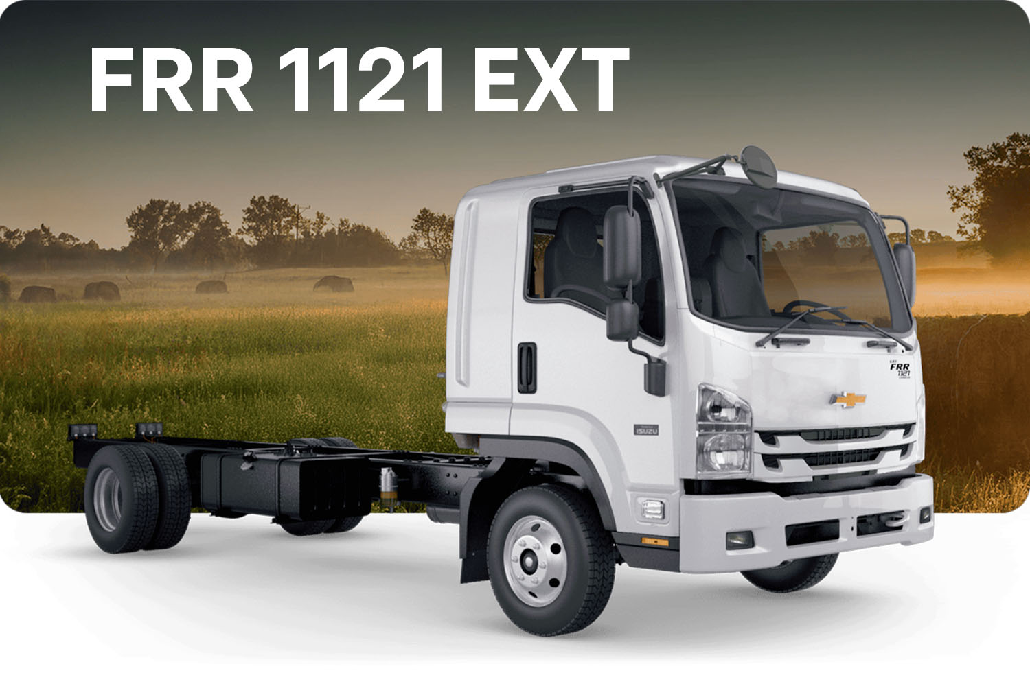 Camión FRR, patrón en la ruta